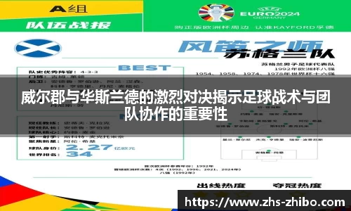 智博体育